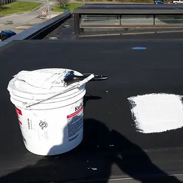 roof repairs